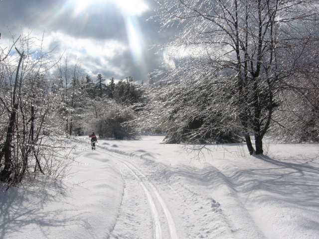 Winter 2011 New 016.JPG